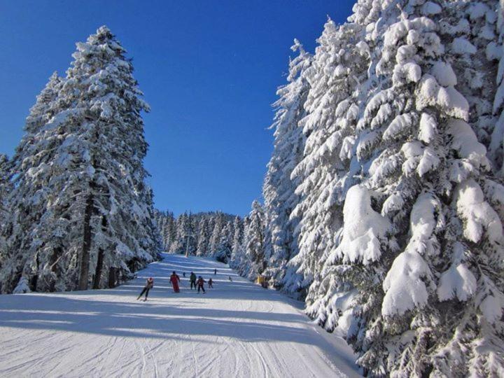 Aparthotel Borovets Gardens Dış mekan fotoğraf